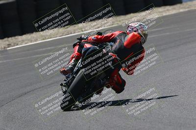 media/Jul-19-2025-TrackDaz (Sat) [[ff1509a44a]]/B Group/220pm (Turn 6)/